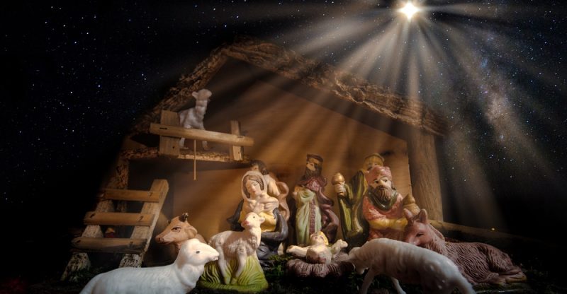 Stella Di Natale Per Presepe.La Stella Di Natale Cosediscienza It