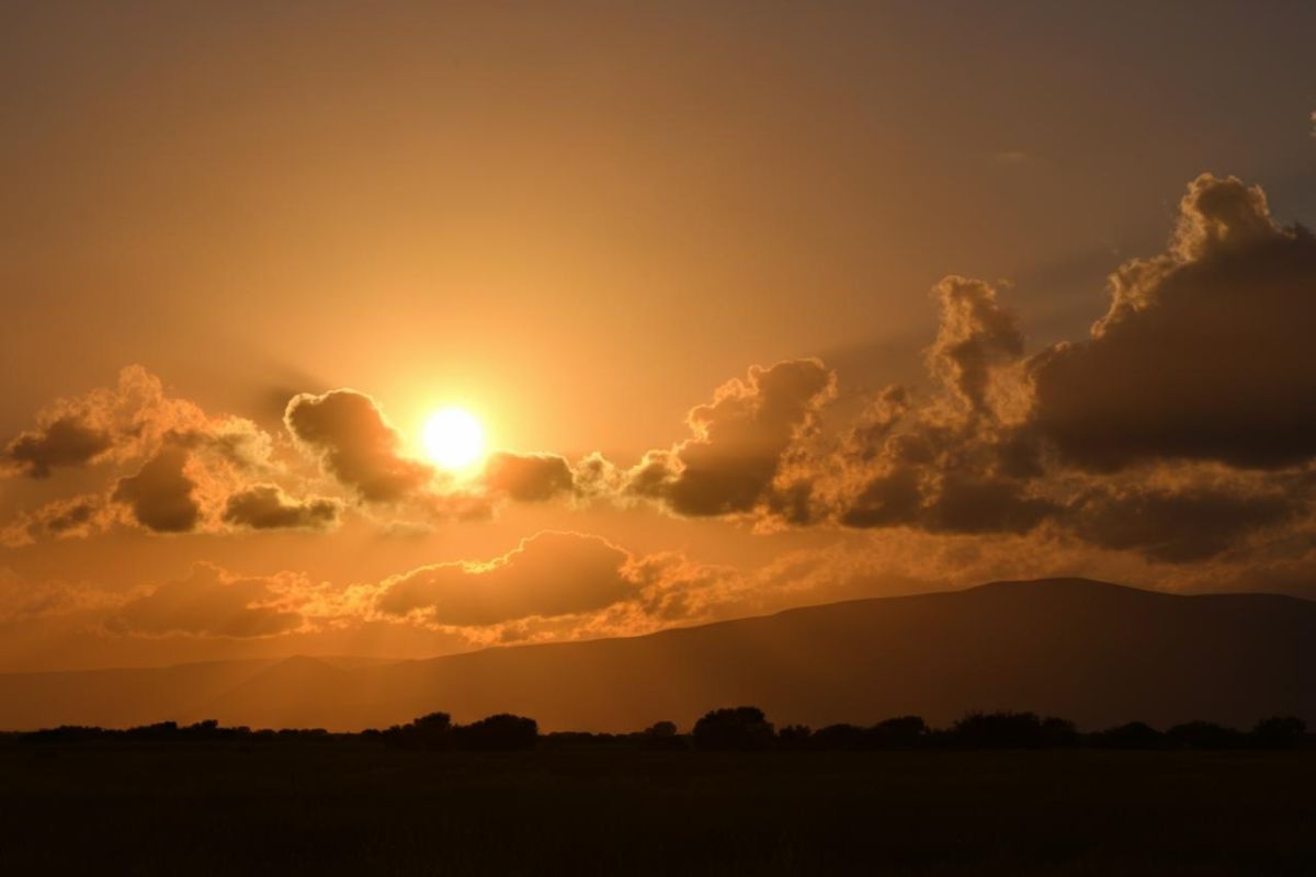 9482_1_sole-cosediscienza.it