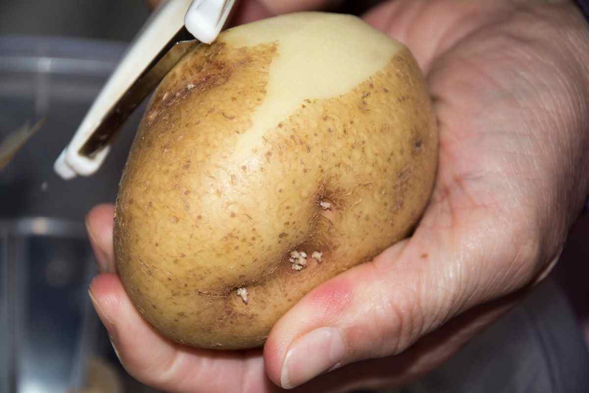 bucce di patate: risparmio e zero sprechi