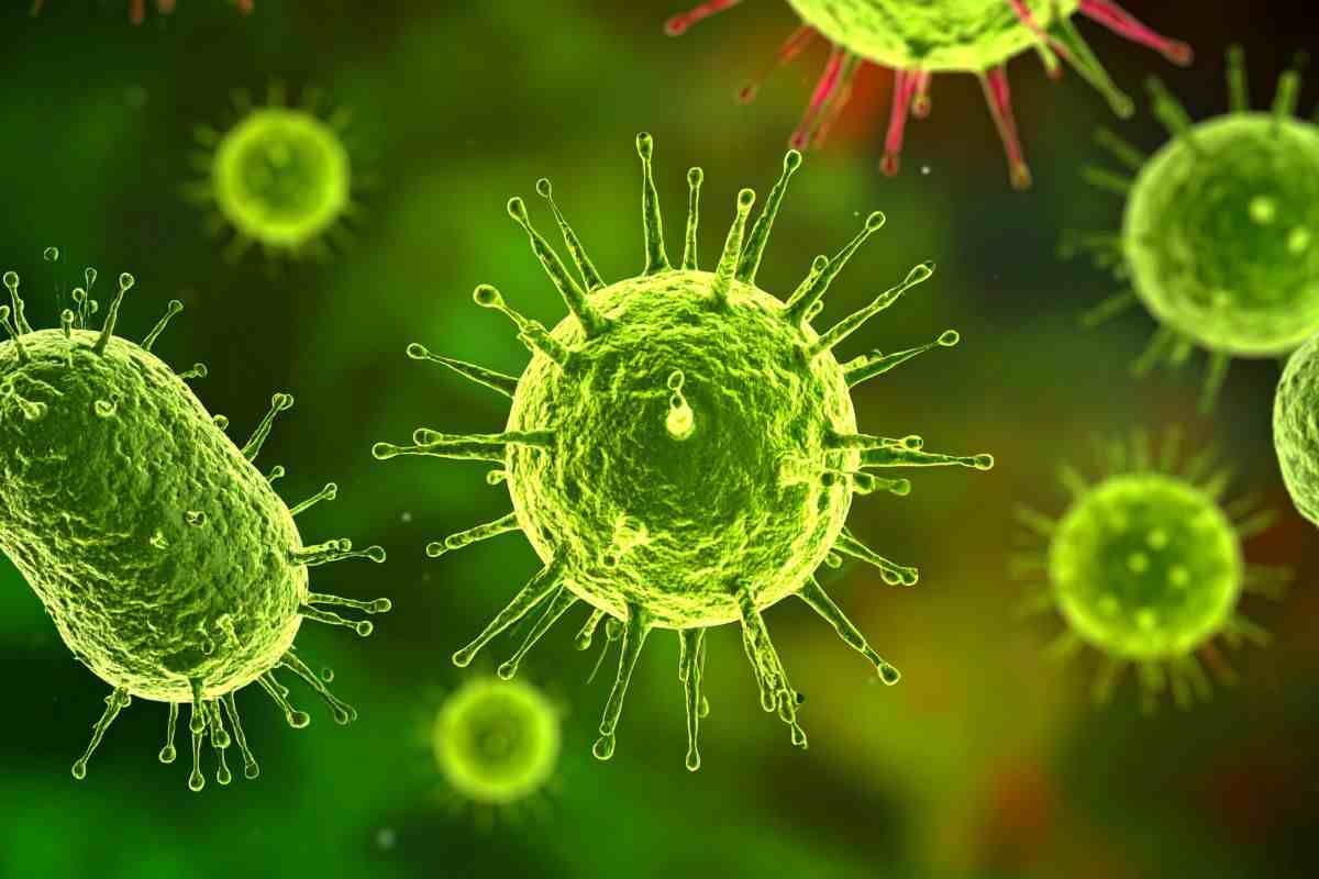 ricci mare germe patogeno attacco