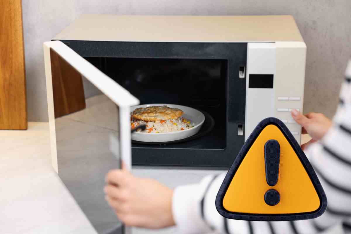 microonde non utilizzare mai questi materiali