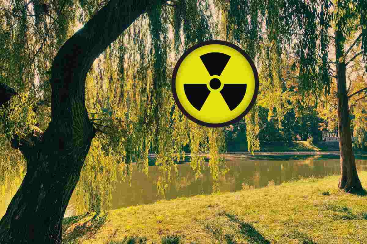 scoperto parco radioattivo: se ci vai spesso rischi il cancro